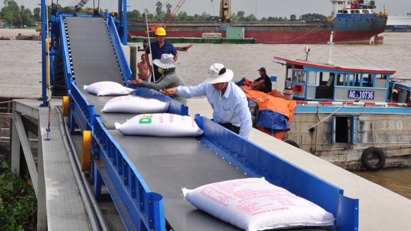 Nghịch lý xuất khẩu gạo tăng giá kỷ lục, sao doanh nghiệp thua lỗ?